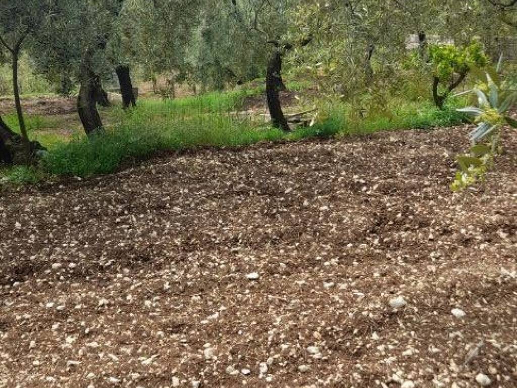 Terreno a Formia in Via Pella - Foto 4