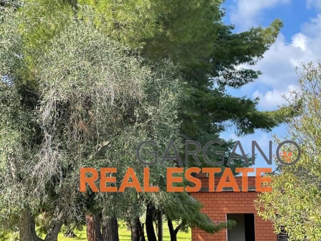 Terreno a Vieste in Strada Vicinale della Costella - Foto 3