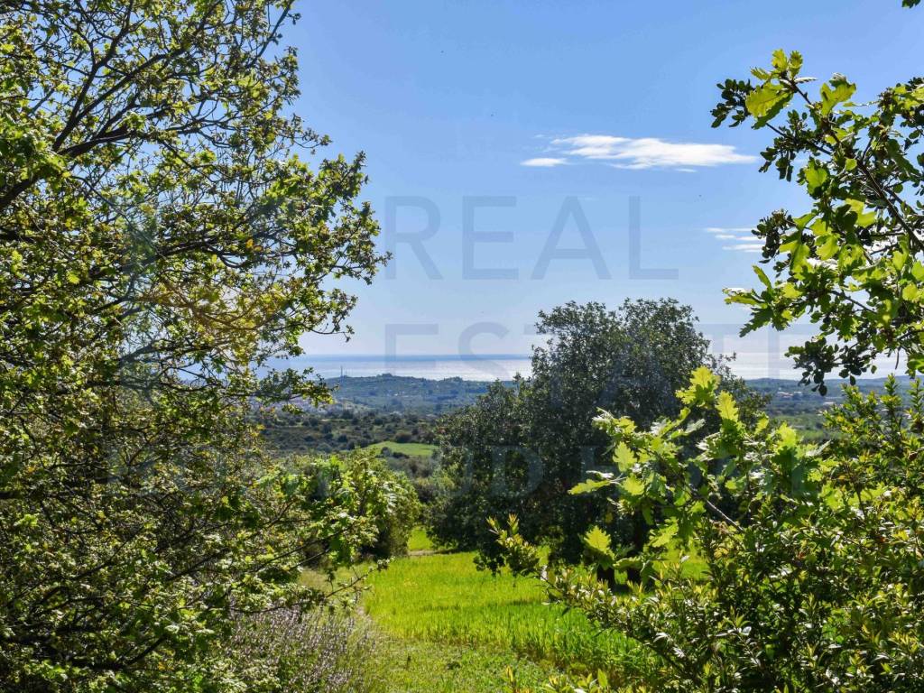 Terreno a Noto in Via Tommaso Fazello, 228 - Foto 2