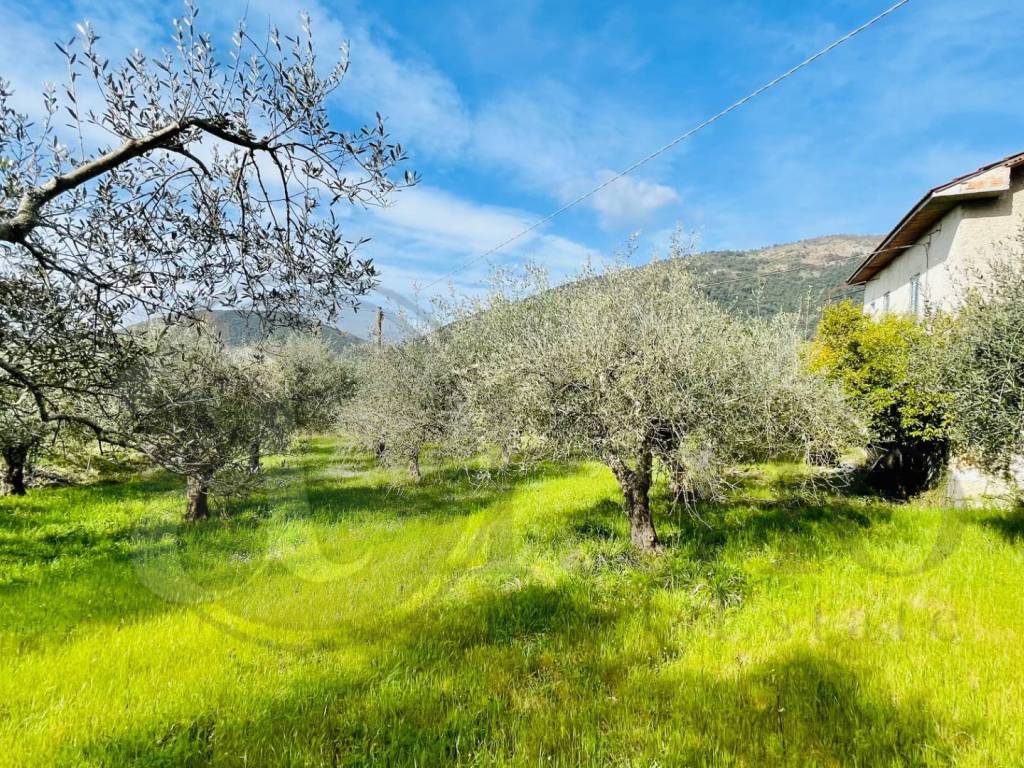 Rustico / casale a Roccasecca in Via della Palombara - Foto 4