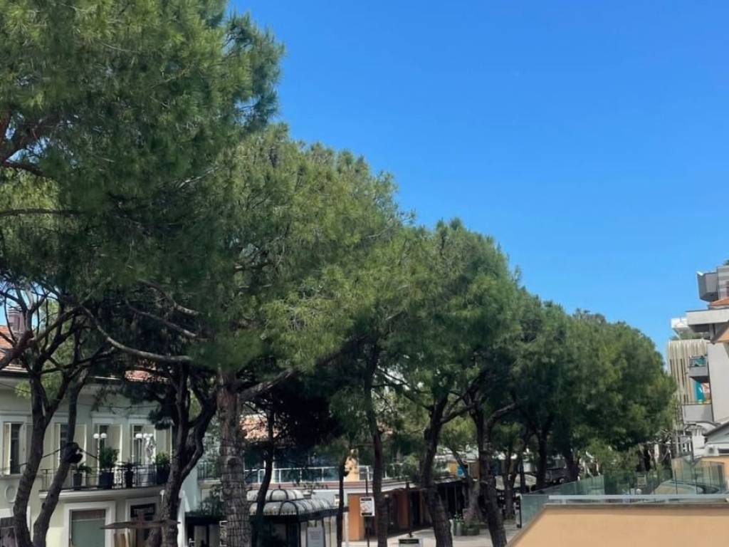 Appartamento a Riccione in Viale Maria Ceccarini - Foto 3