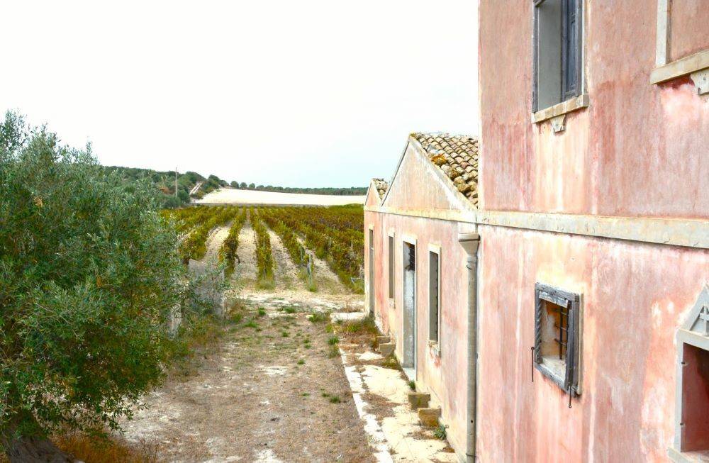 Terreno a Noto in Strada Provinciale Bimmisca-Agliastro - Foto 2