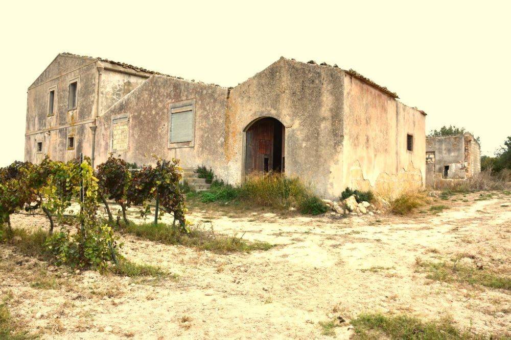 Terreno a Noto in Strada Provinciale Bimmisca-Agliastro - Foto 5