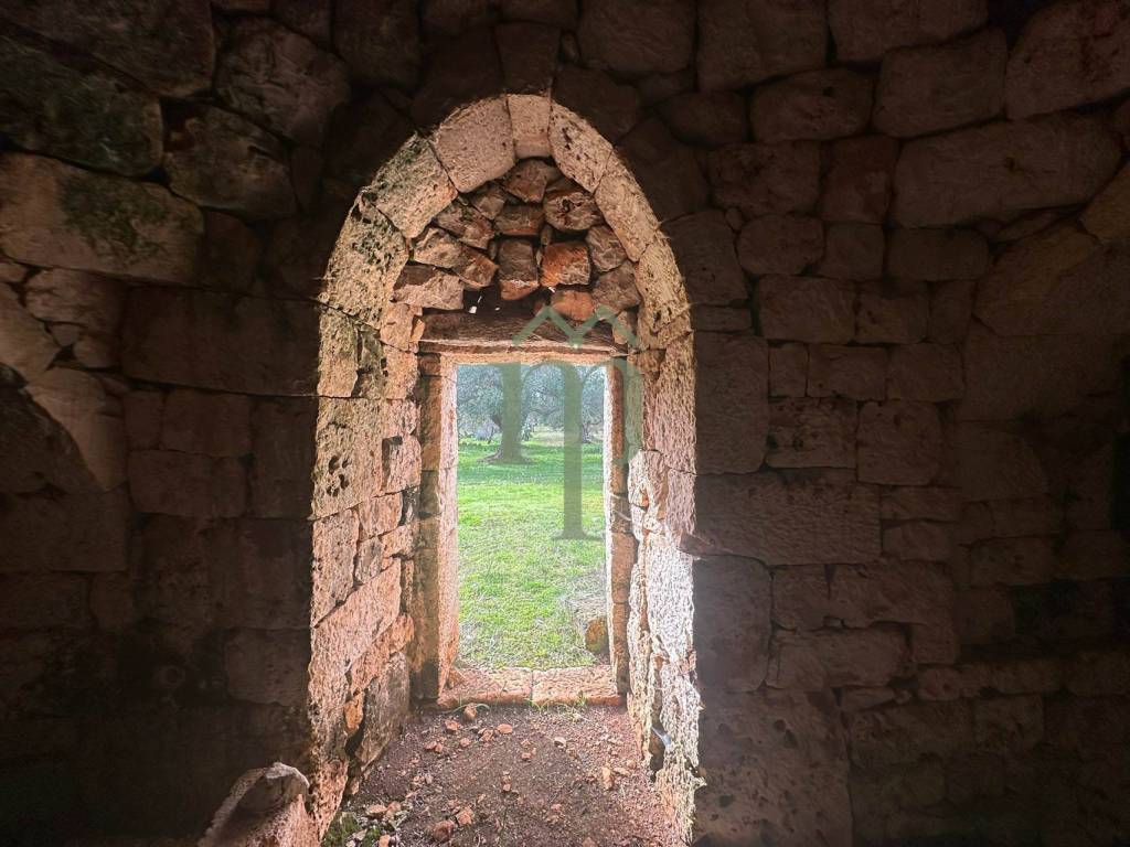 Rustico / casale a Carovigno in Contrada Sierri - Foto 3