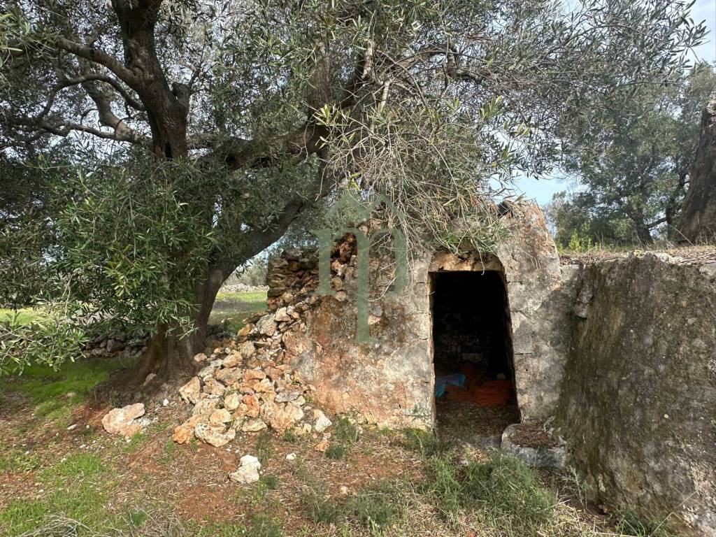 Rustico / casale a Carovigno in Contrada Sierri - Foto 4