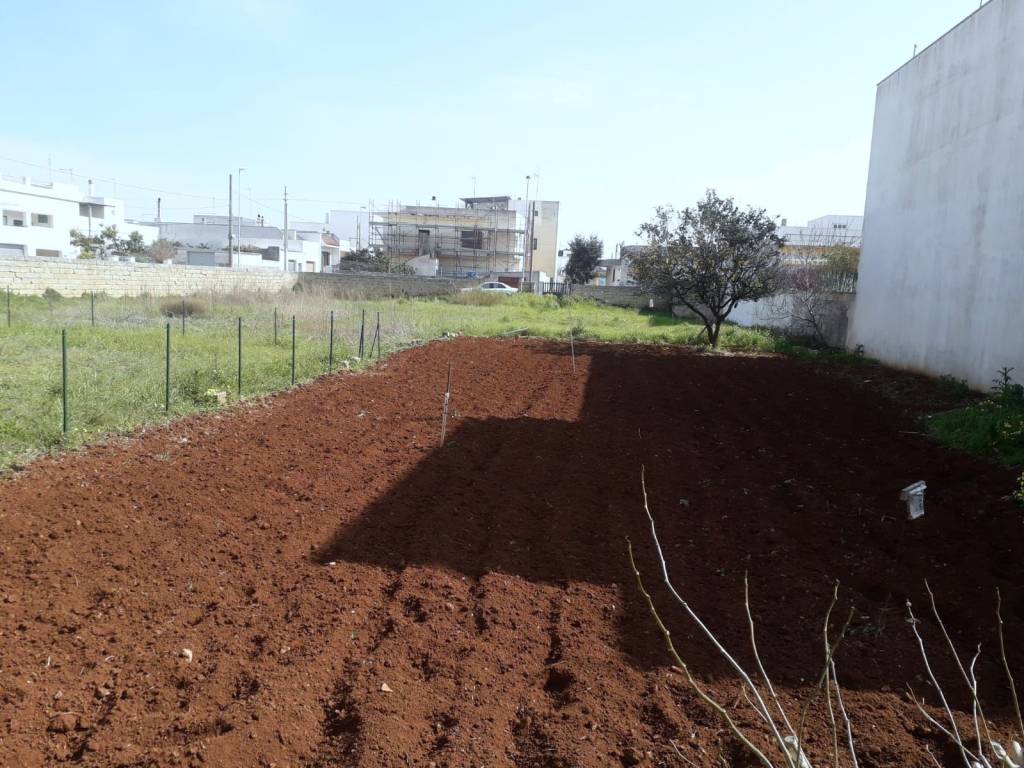 Terreno a Corsano in Via Regina Elena - Foto 2