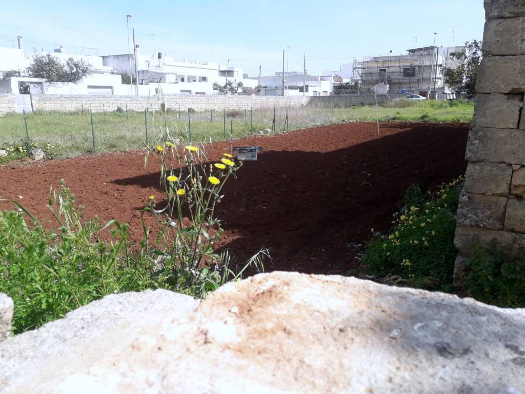 Terreno a Corsano in Via Regina Elena - Foto 3