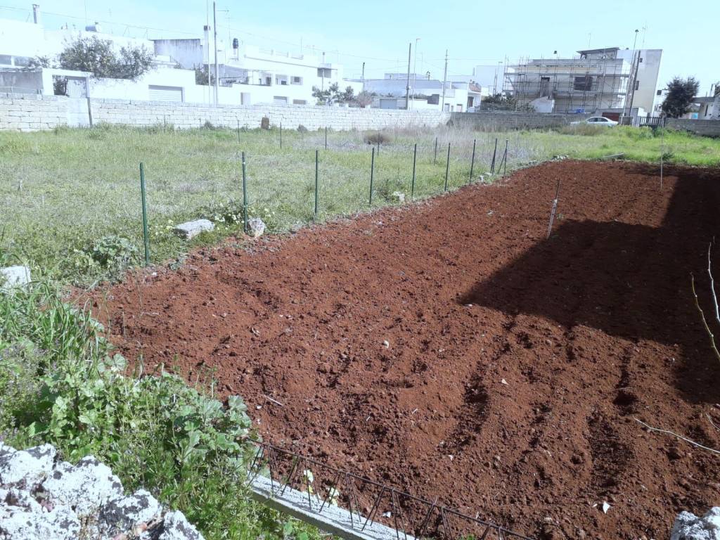 Terreno a Corsano in Via Regina Elena - Foto 4