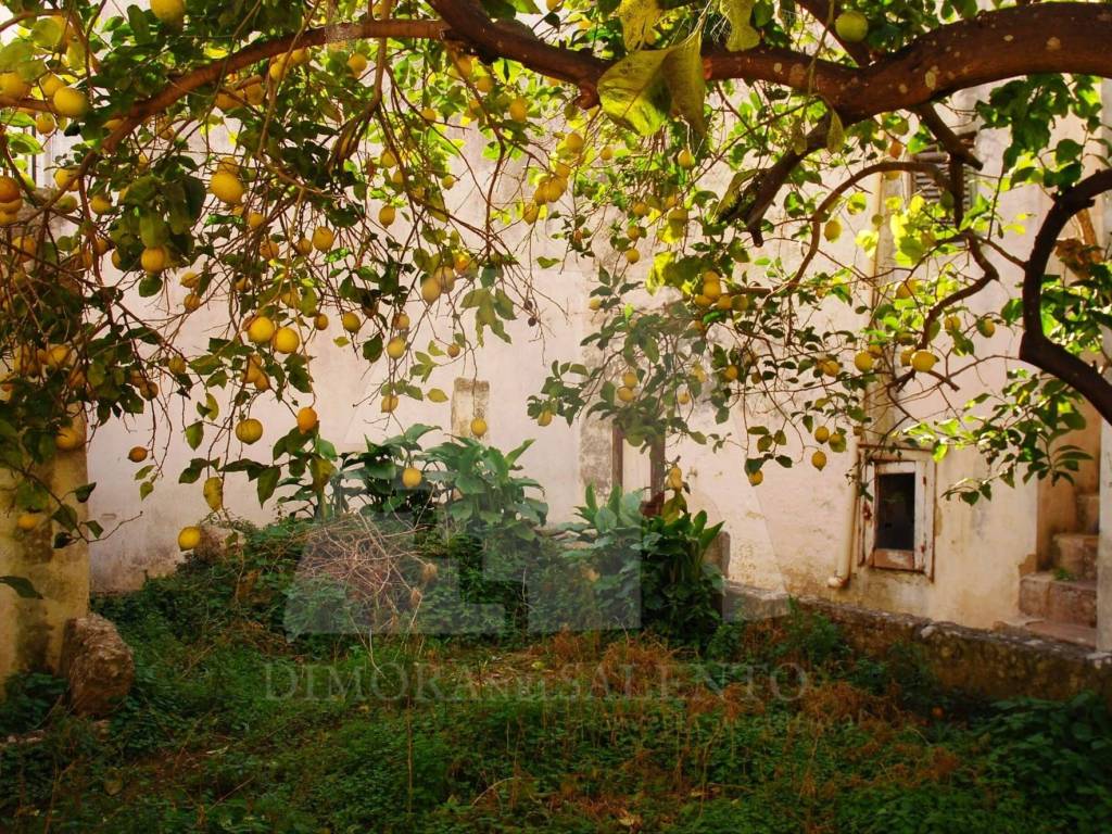 Casa indipendente a Presicce-acquarica in Via Gorizia, 2 - Foto 3