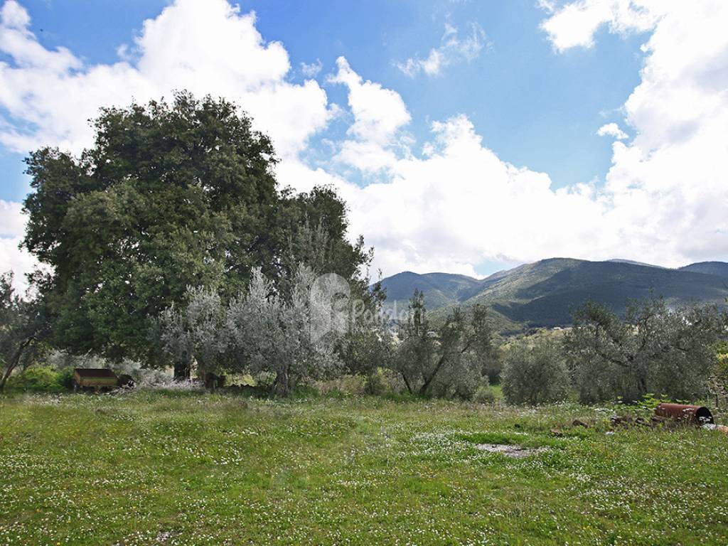 Terreno a Montasola in Via Colle Mola - Foto 2