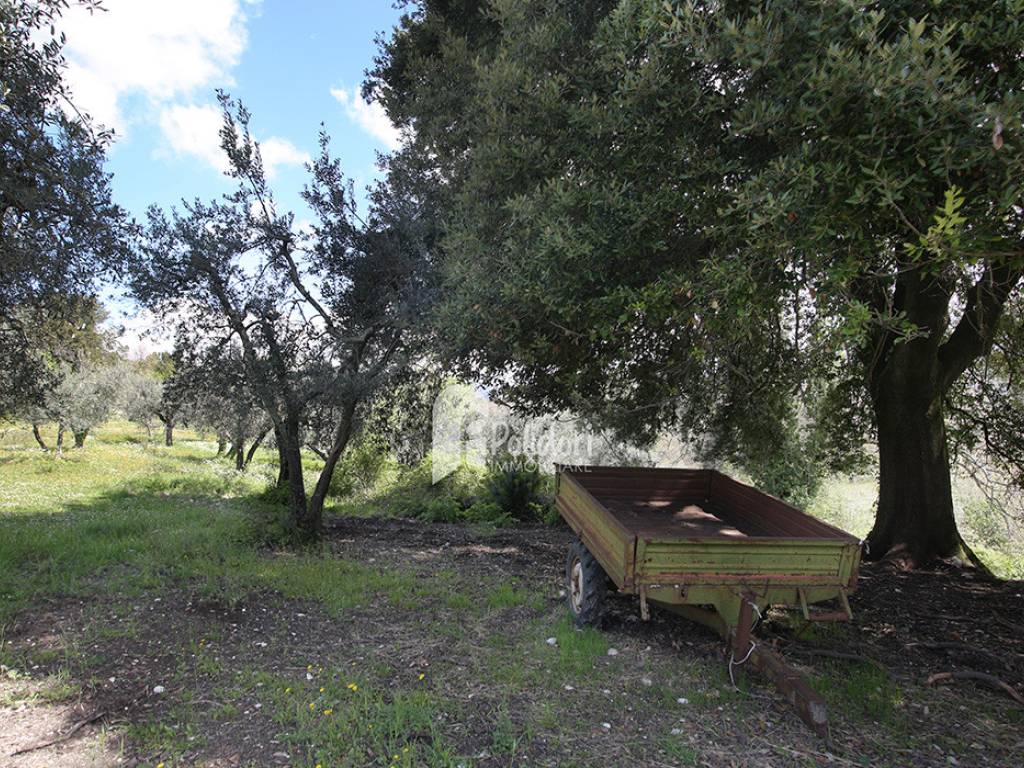 Terreno a Montasola in Via Colle Mola - Foto 4