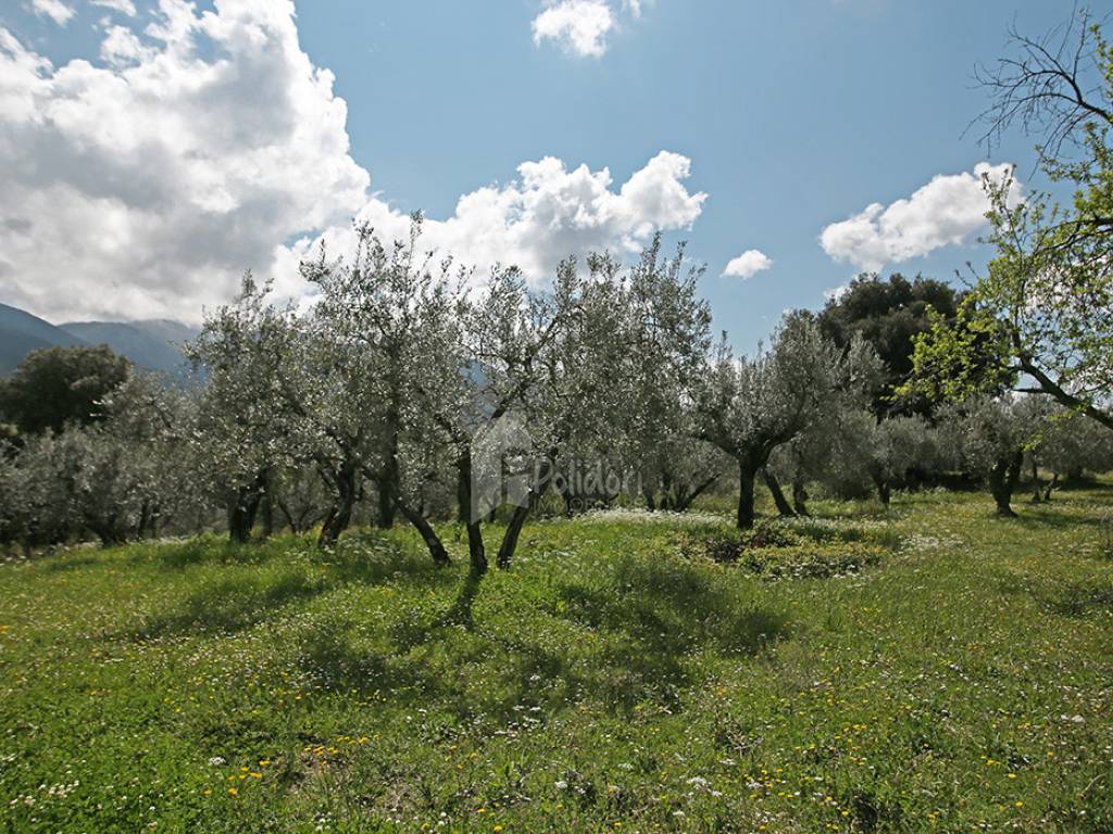 Terreno a Montasola in Via Colle Mola - Foto 5
