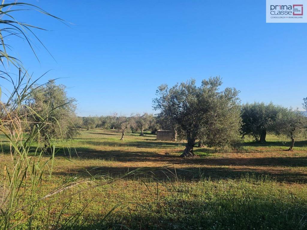 Terreno a Vittoria in Contrada Gerbe - Foto 4