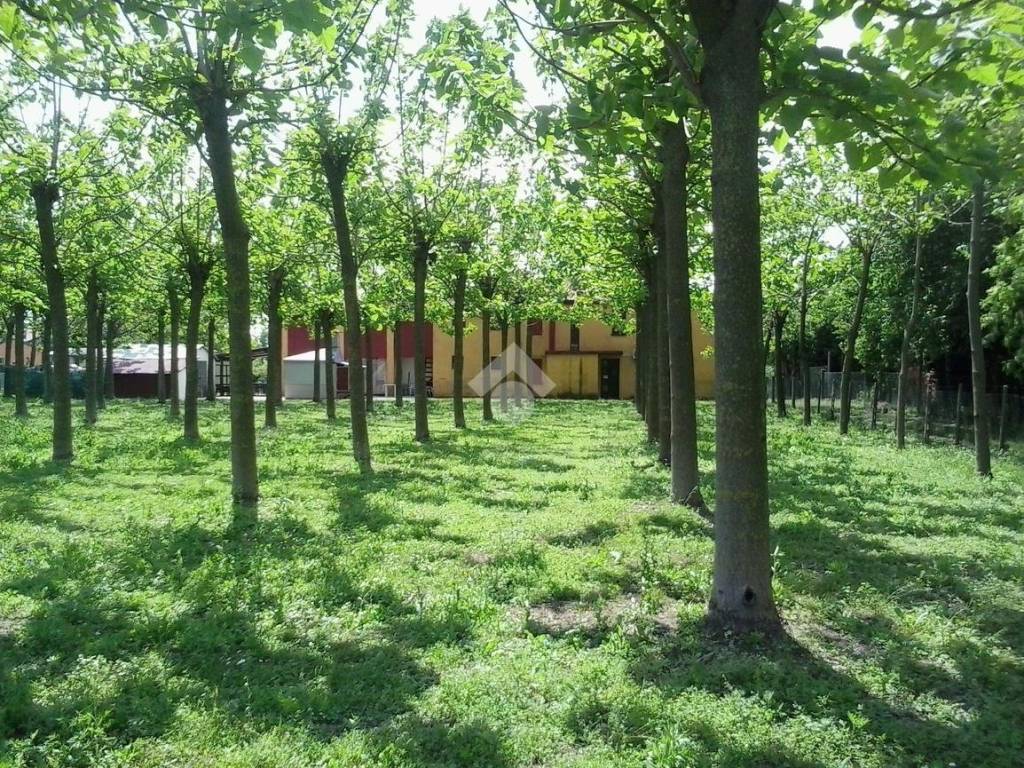Casa indipendente a Curtarolo in Via Tessara, 8546 - Foto 2