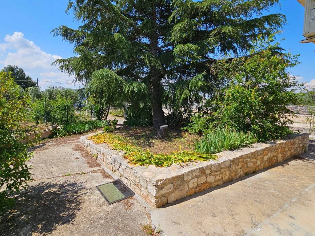 Villa a Conversano - Foto 4