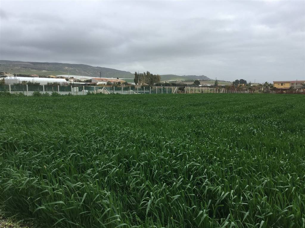 Terreno a Licata - Foto 2