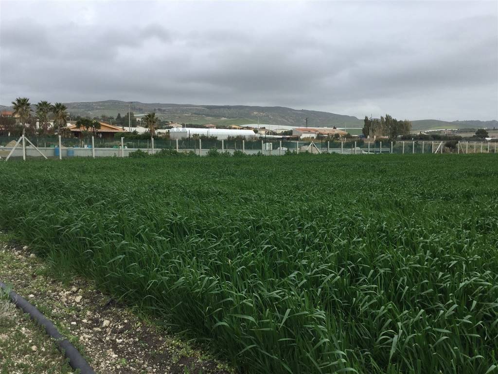 Terreno a Licata - Foto 3