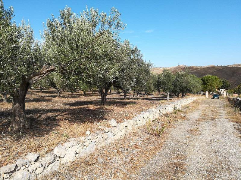 Terreno a Licata - Foto 2