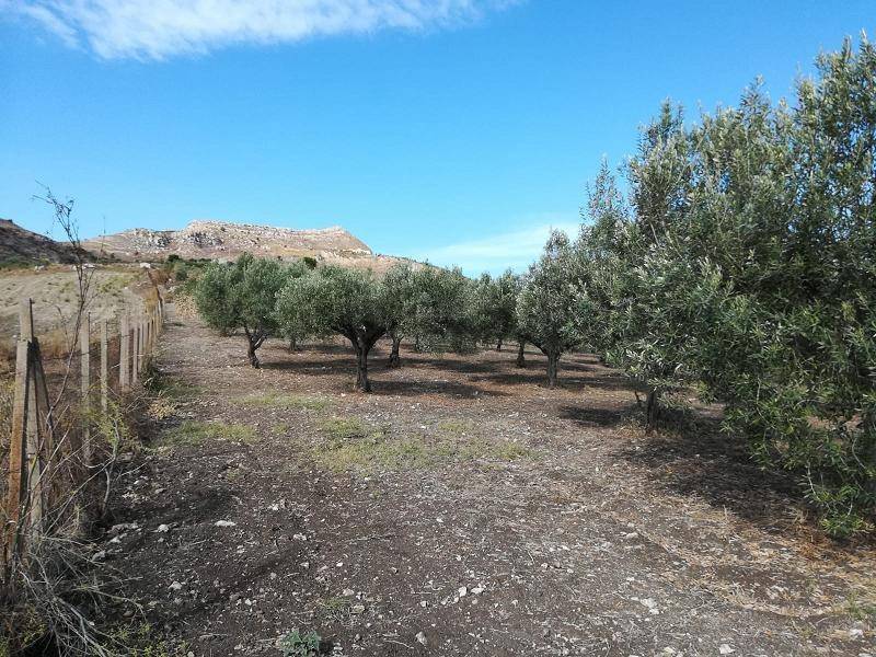 Terreno a Licata - Foto 4