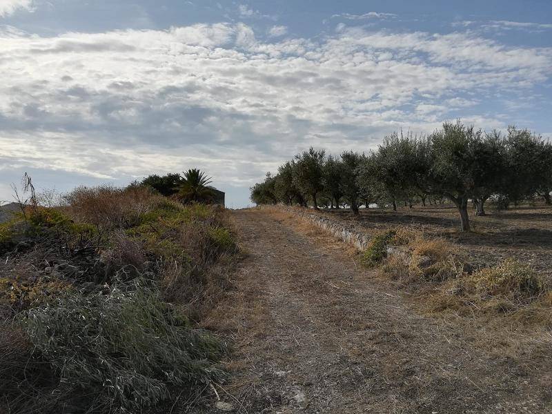 Terreno a Licata - Foto 5