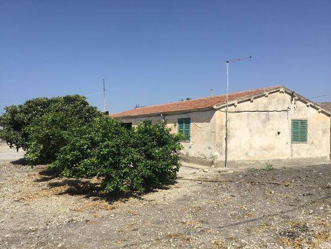 Terreno a Butera - Foto 5