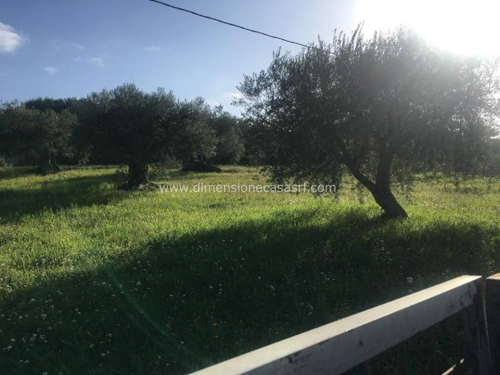 Terreno a Caltanissetta in contrada Cusatino - Foto 2