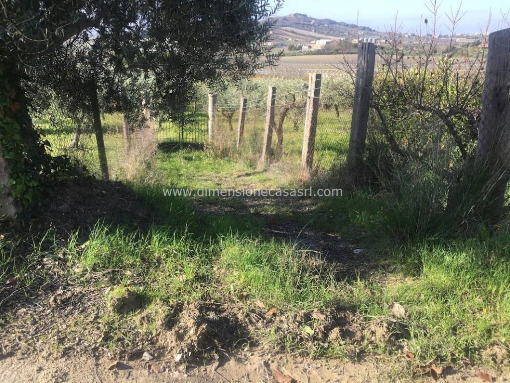 Terreno a Caltanissetta in contrada Cusatino - Foto 3