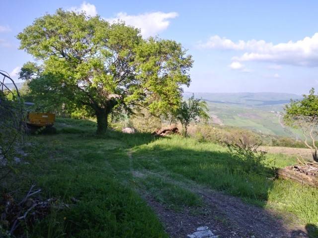 Casa indipendente a Casalbore in Contrada San Giacomo - Foto 3