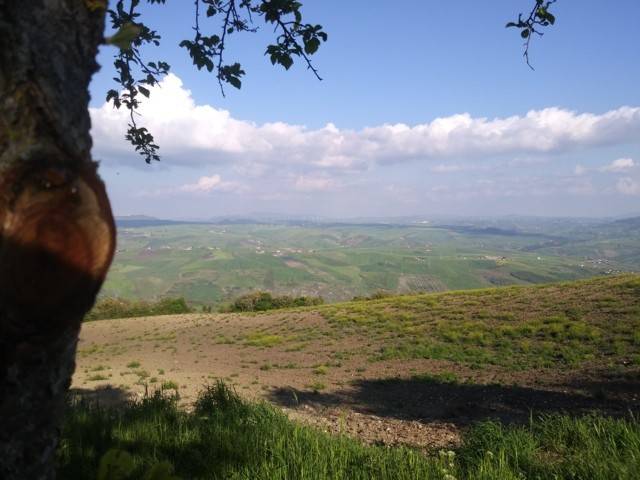 Casa indipendente a Casalbore in Contrada San Giacomo - Foto 4
