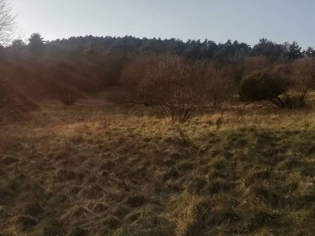 Terreno a San dorligo della valle - dolina in Località Draga Sant'Elia - Foto 2
