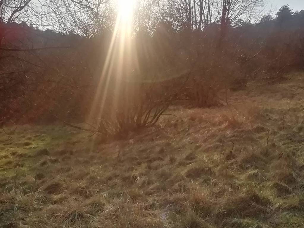 Terreno a San dorligo della valle - dolina in Località Draga Sant'Elia - Foto 3