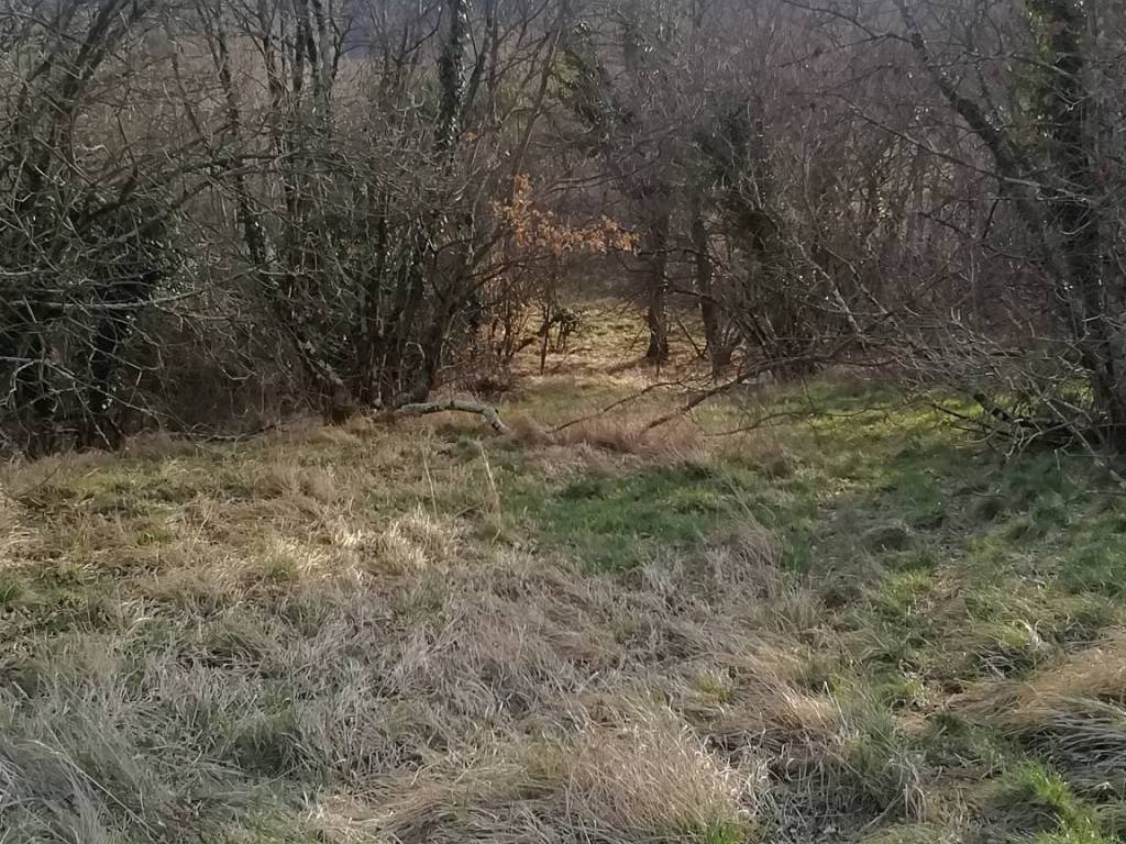 Terreno a San dorligo della valle - dolina in Località Draga Sant'Elia - Foto 4