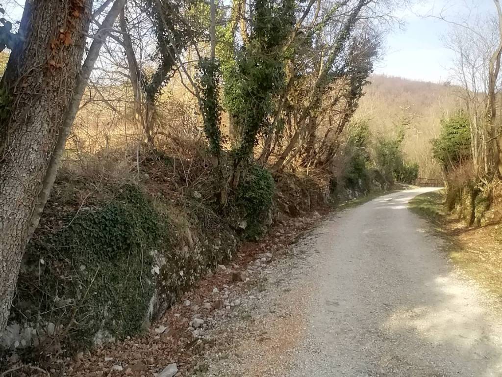 Terreno a San dorligo della valle - dolina in Località Draga Sant'Elia - Foto 5