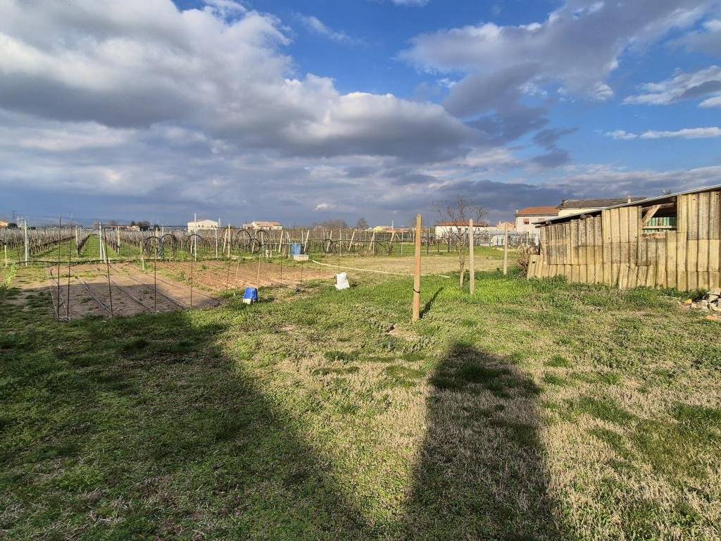 Rustico / casale a Arcole - Foto 5