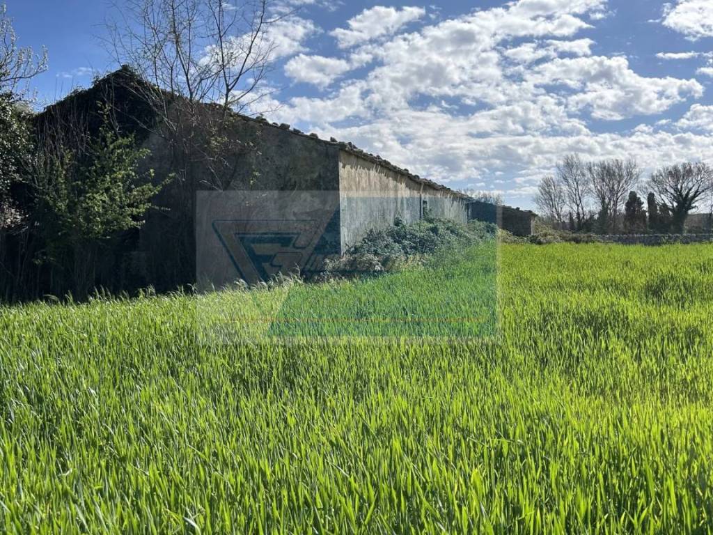 Terreno a Noto - Foto 2