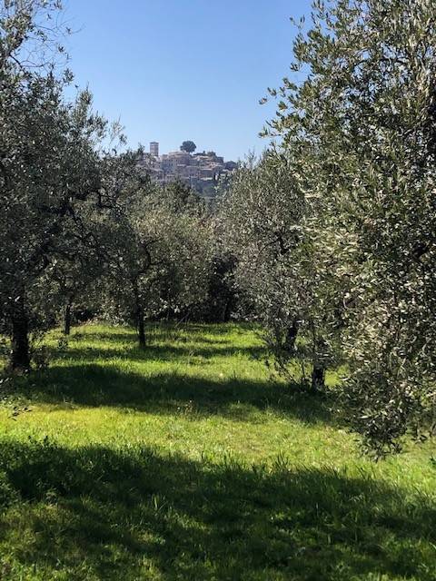 Terreno a Casperia in Via Santa Maria - Foto 2