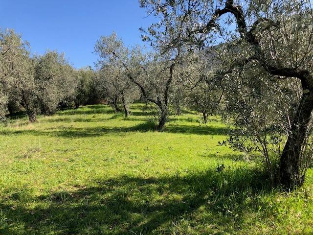 Terreno a Casperia in Via Santa Maria - Foto 3