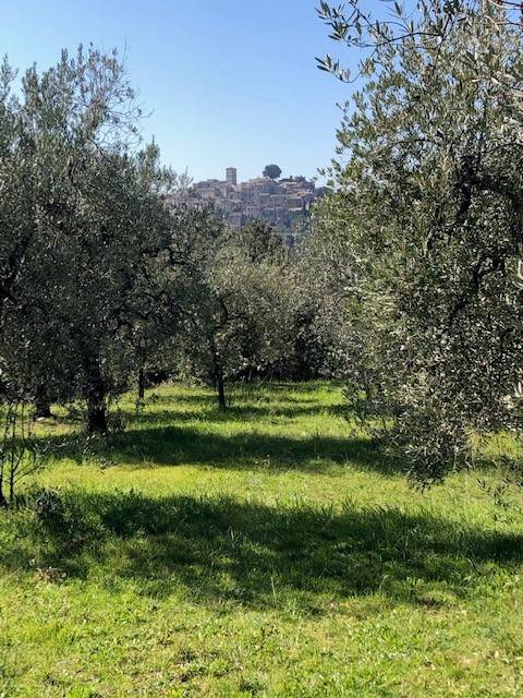 Terreno a Casperia in Via Santa Maria - Foto 4
