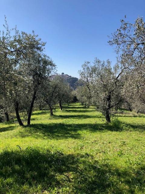 Terreno a Casperia in Via Santa Maria - Foto 5