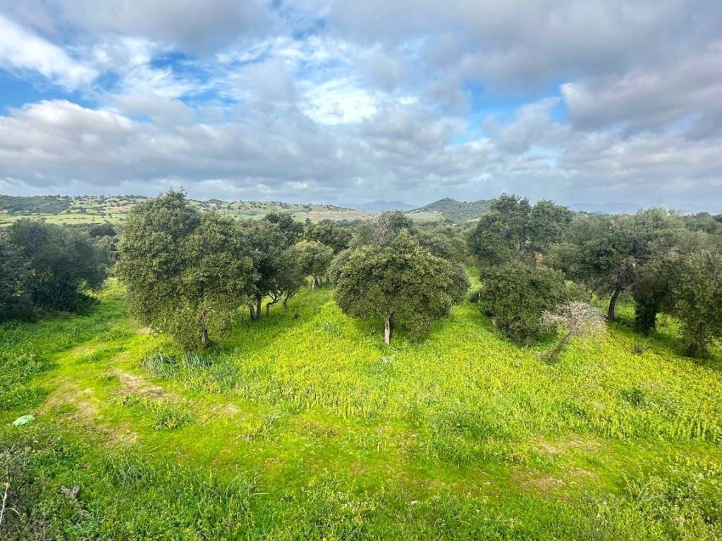 Terreno a Loiri porto san paolo in Via Gallura - Foto 2