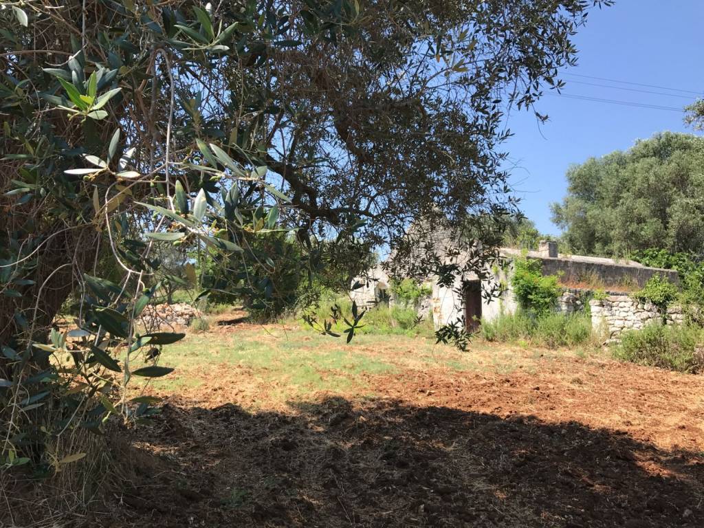 Rustico / casale a Ceglie messapica in Contrada angelo di maglie - Foto 2