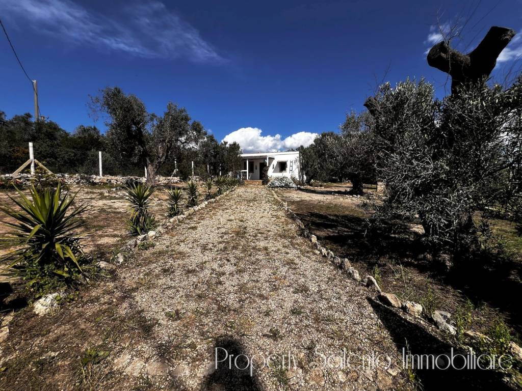 Rustico / casale a Ugento - Foto 3