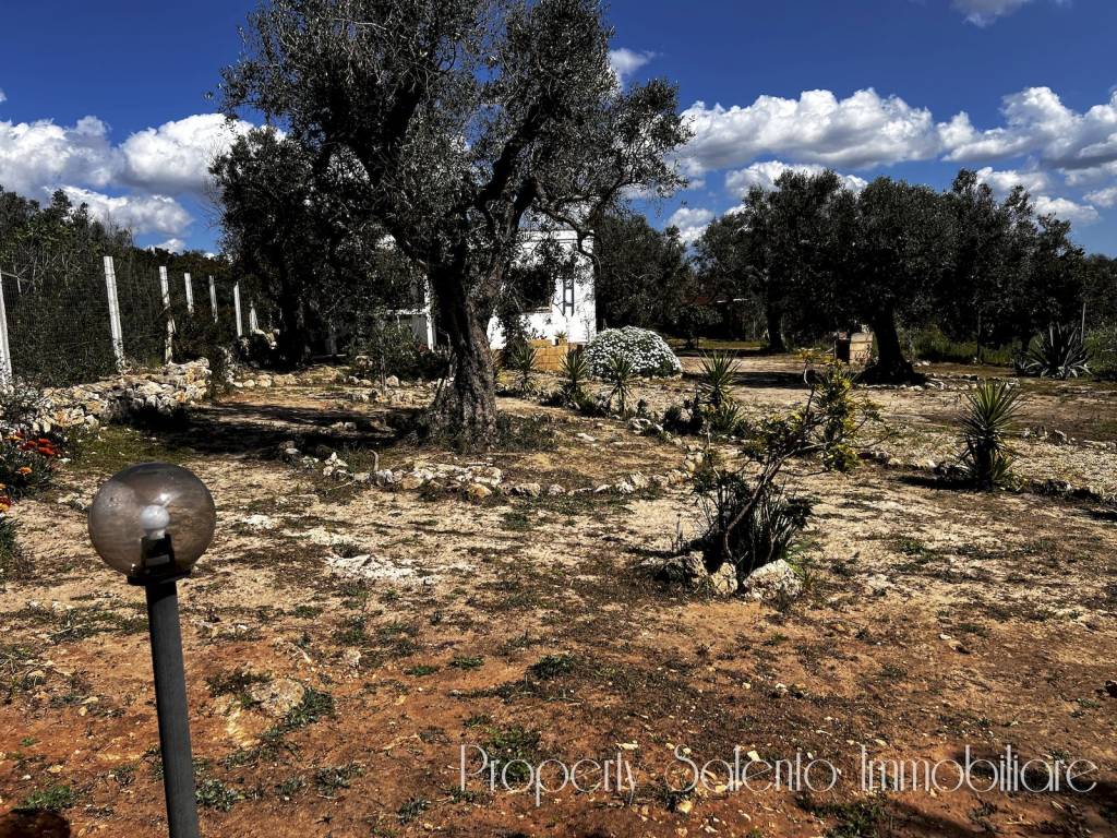 Rustico / casale a Ugento - Foto 4