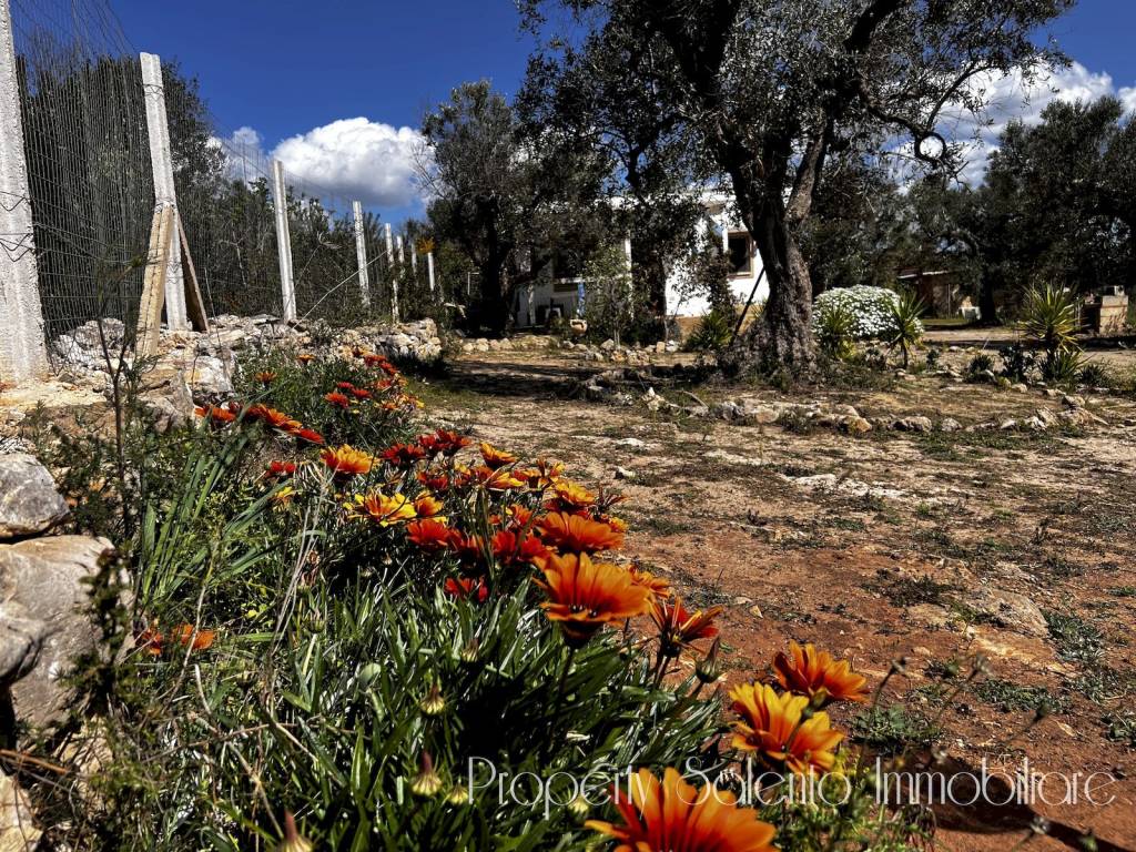 Rustico / casale a Ugento - Foto 5