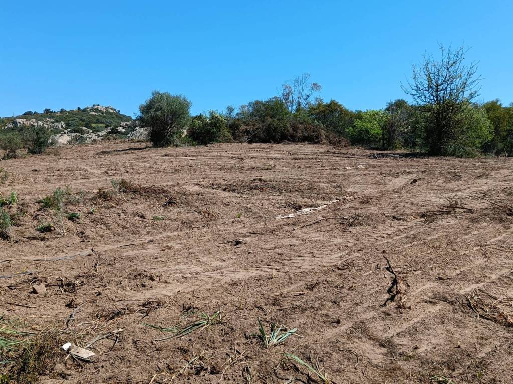 Terreno a Olbia in Strada Provinciale SS125-Svincolo SP59 - Foto 2
