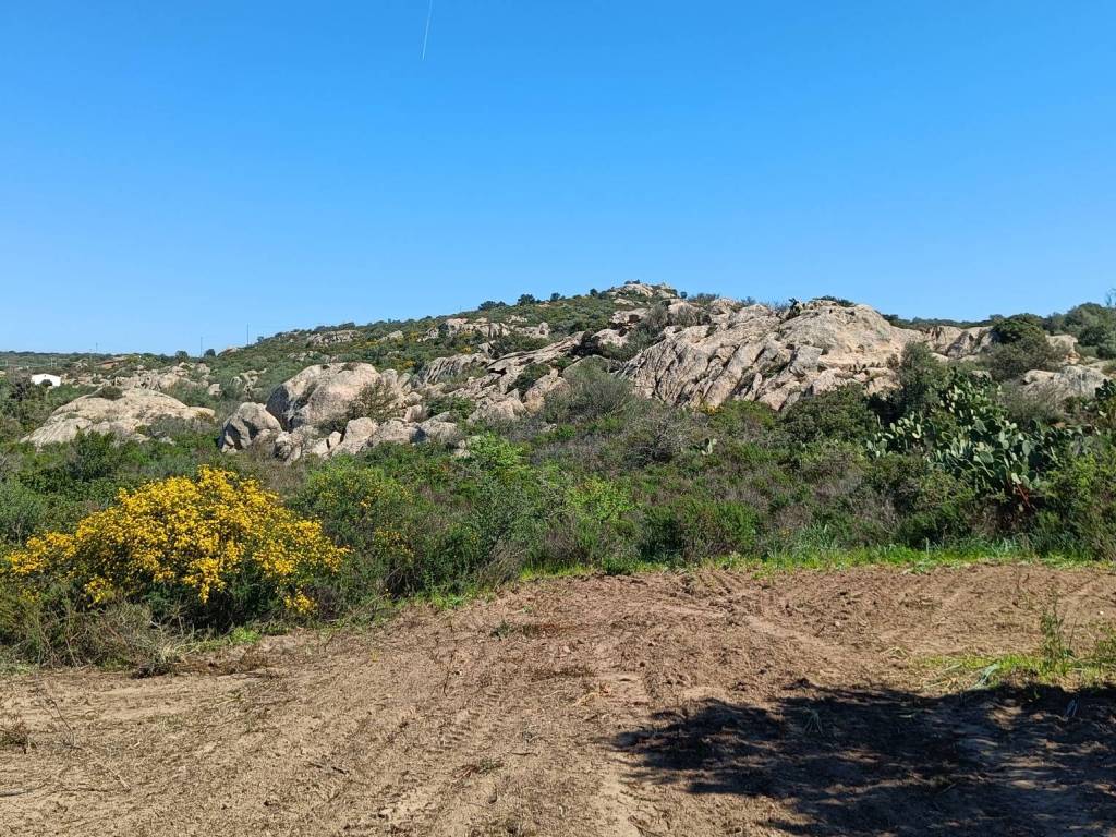 Terreno a Olbia in Strada Provinciale SS125-Svincolo SP59 - Foto 4
