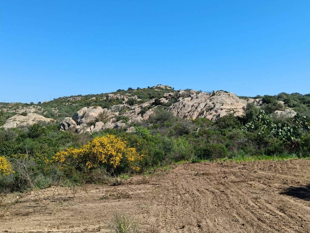 Terreno a Olbia in Strada Provinciale SS125-Svincolo SP59 - Foto 5