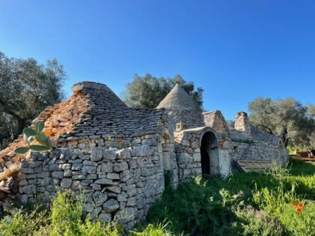 Rustico / casale a Francavilla fontana in Contrada pane e passole - Foto 2
