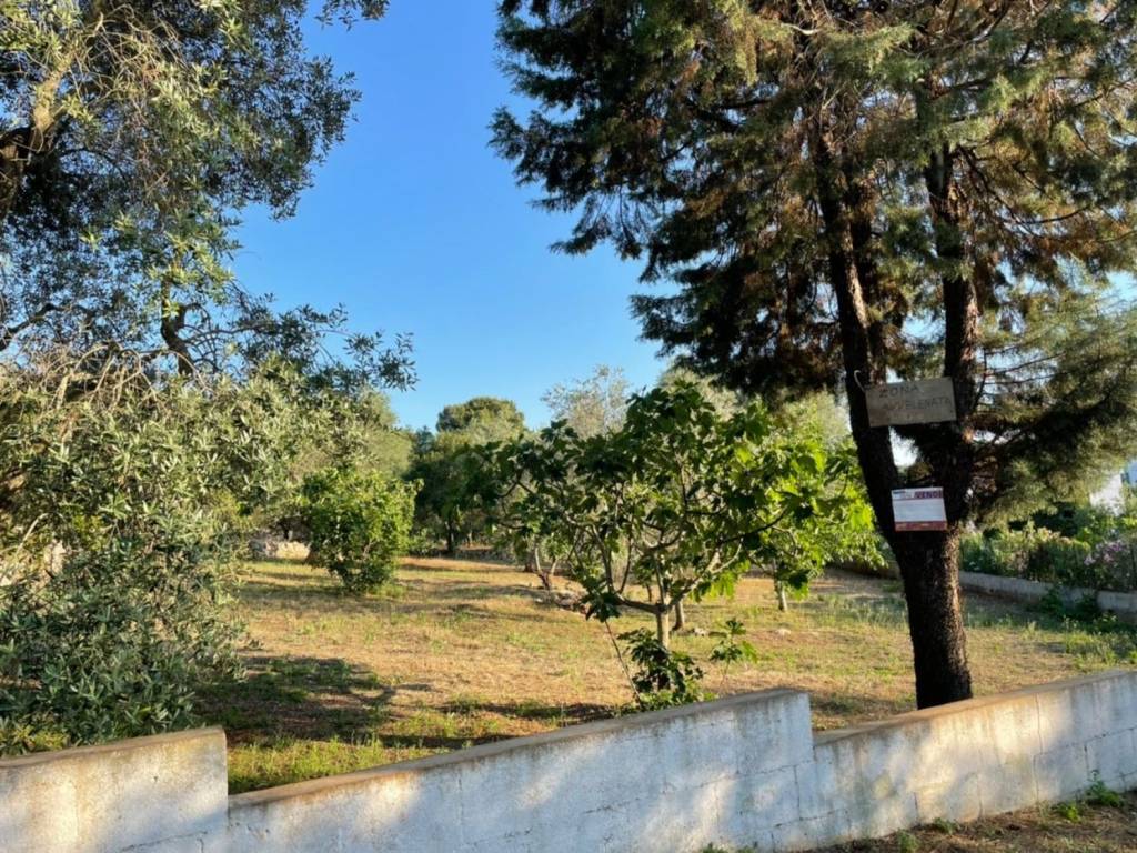 Rustico / casale a Ceglie messapica in Contrada Santanna - Foto 5