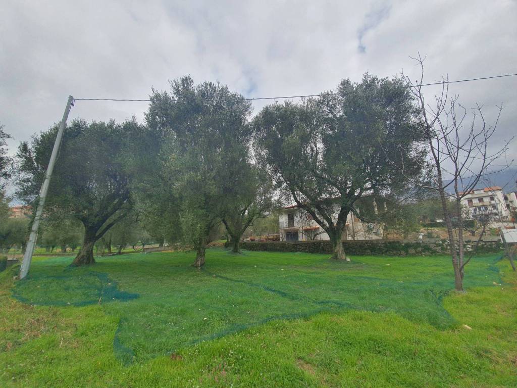 Terreno a Novi velia in Via dei Prati - Foto 2